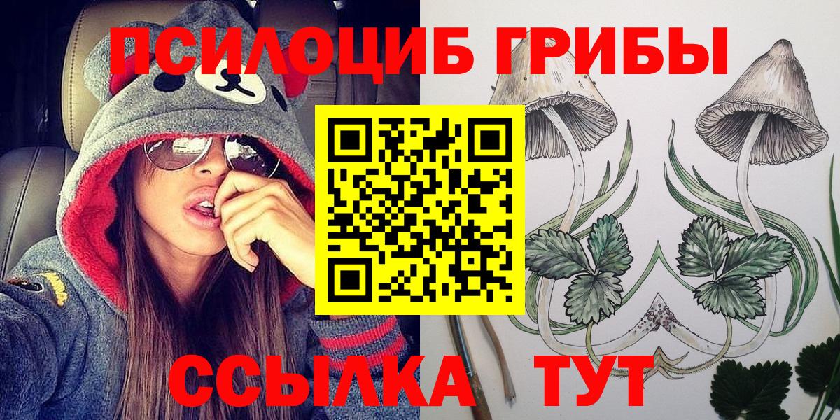 Псилоцибиновые грибы ЛСД Полысаево